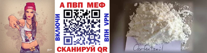 Альфа ПВП СК  Судогда 
