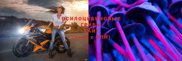 кокс Тайга