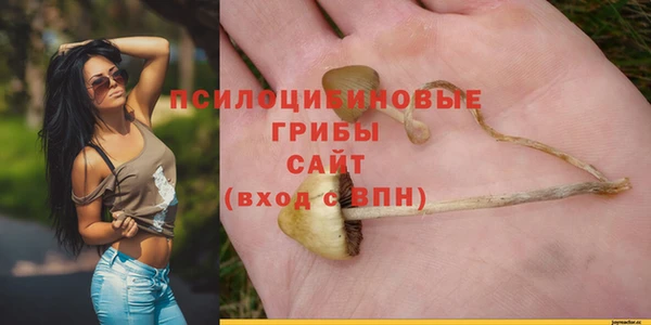кокс Тайга