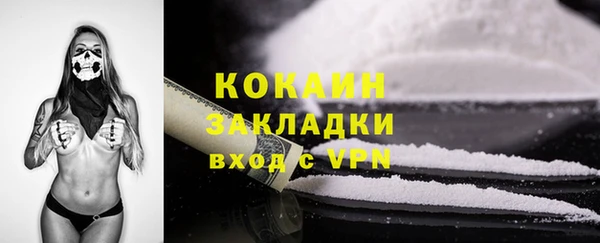 кокс Тайга