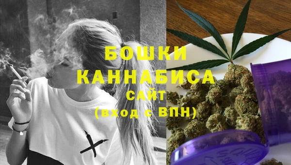 МДПВ Тавда