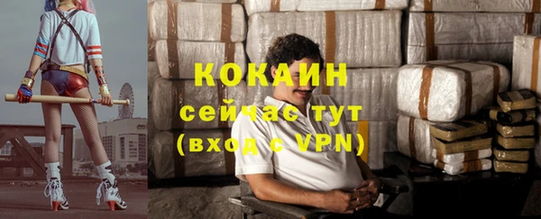 МДПВ Тавда