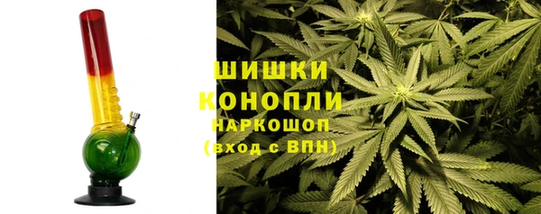 МДПВ Тавда