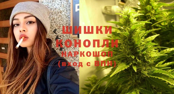 МДПВ Тавда