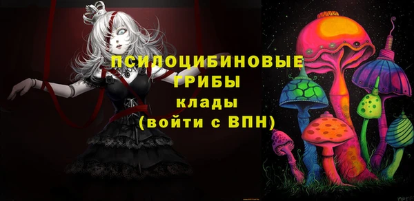 СК Бронницы