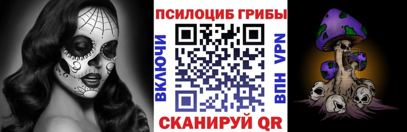 Галлюциногенные грибы GOLDEN TEACHER  магазин  наркотиков  Судогда 